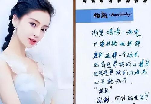 明星带照字的,明星带照背后的故事与魅力